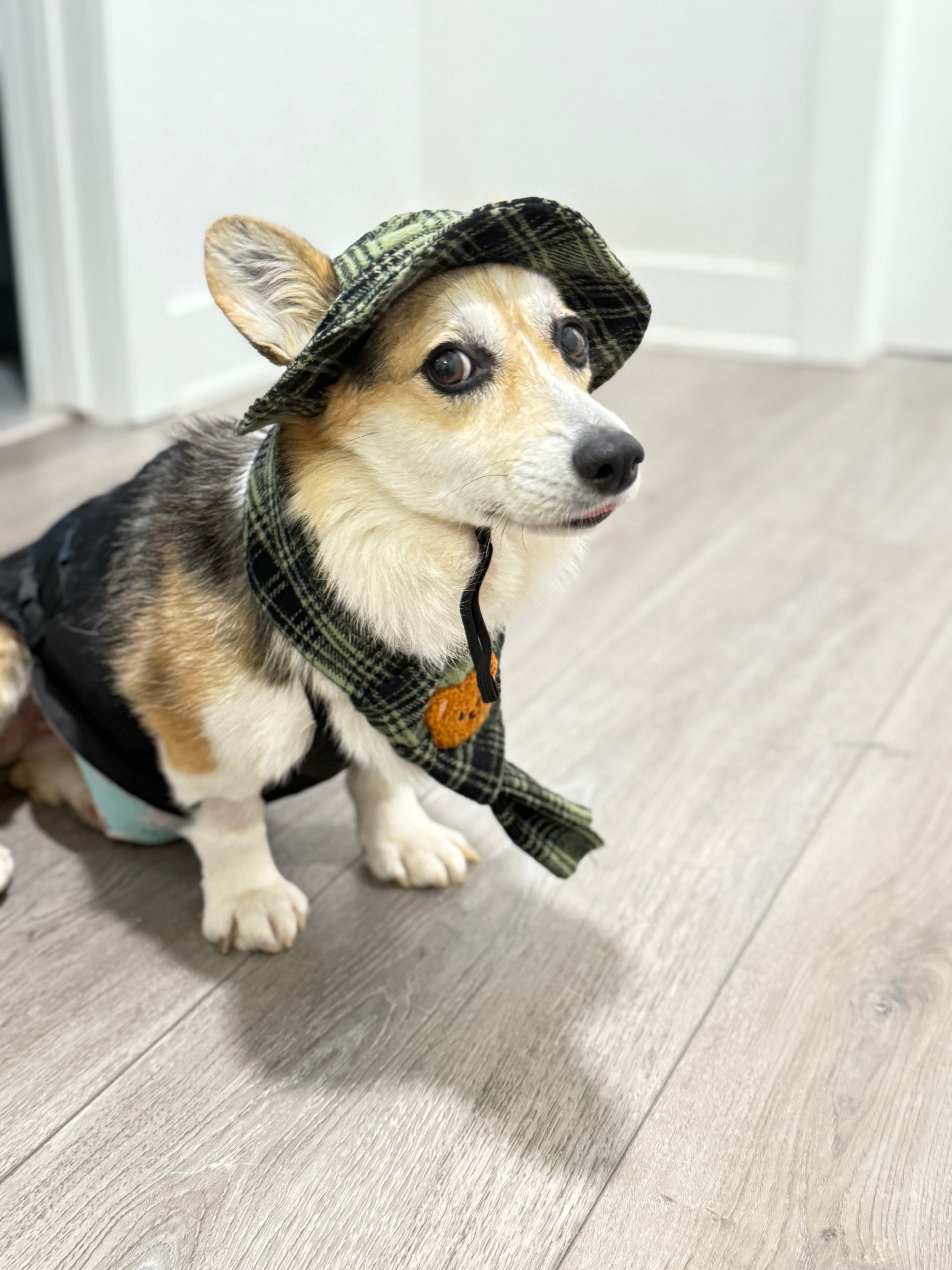 Hat and scarf set