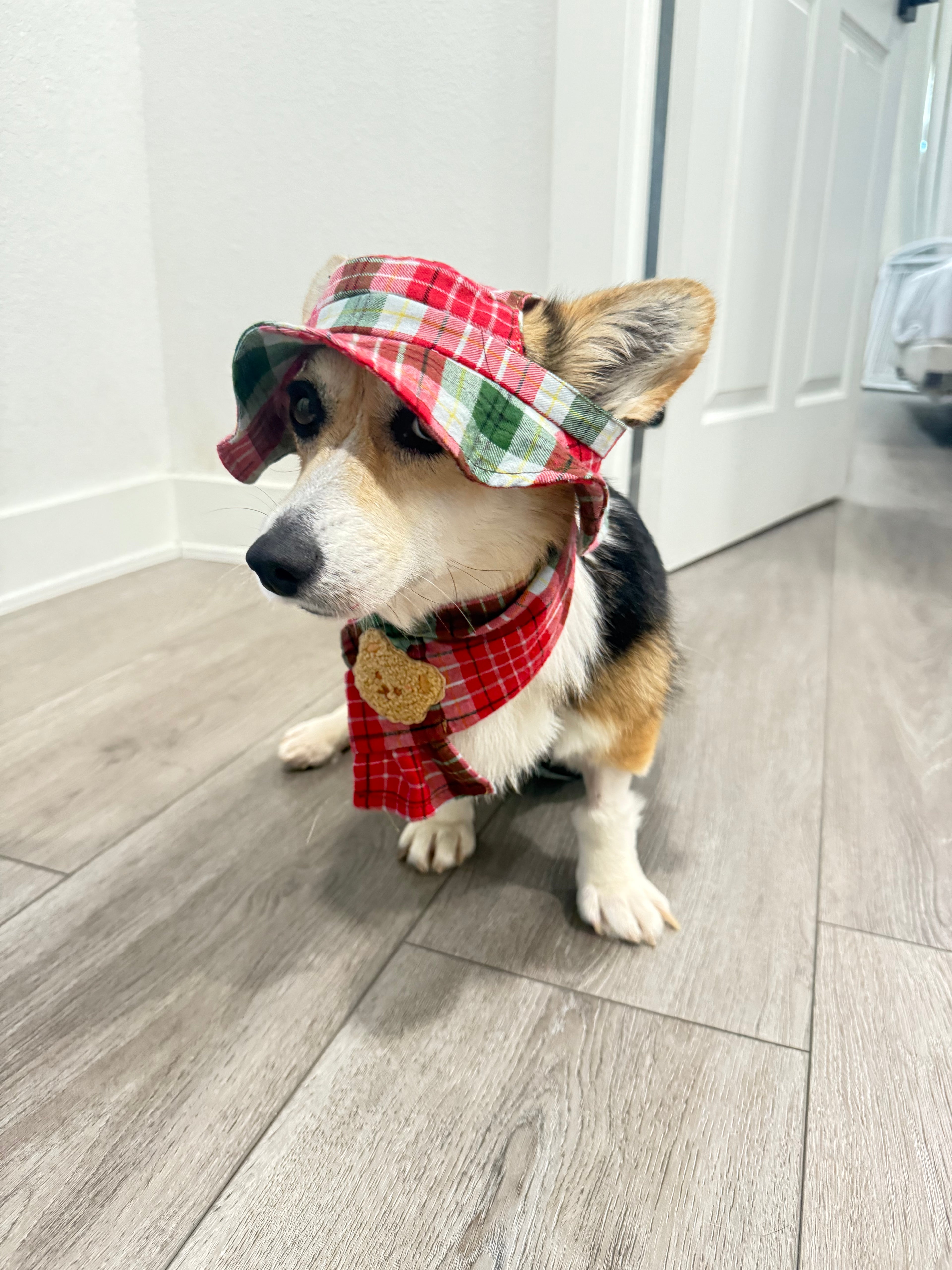 Hat and scarf set