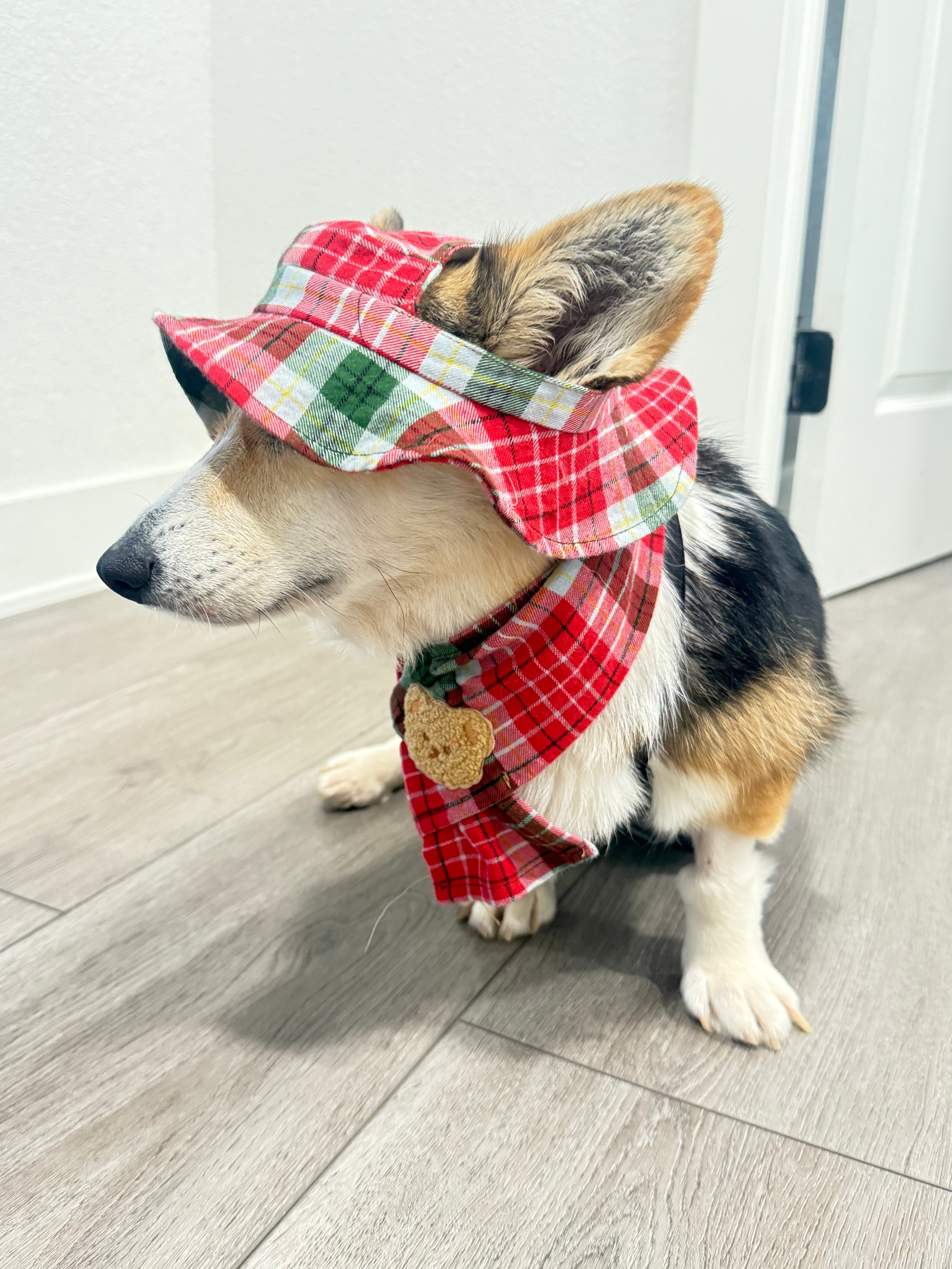 Hat and scarf set